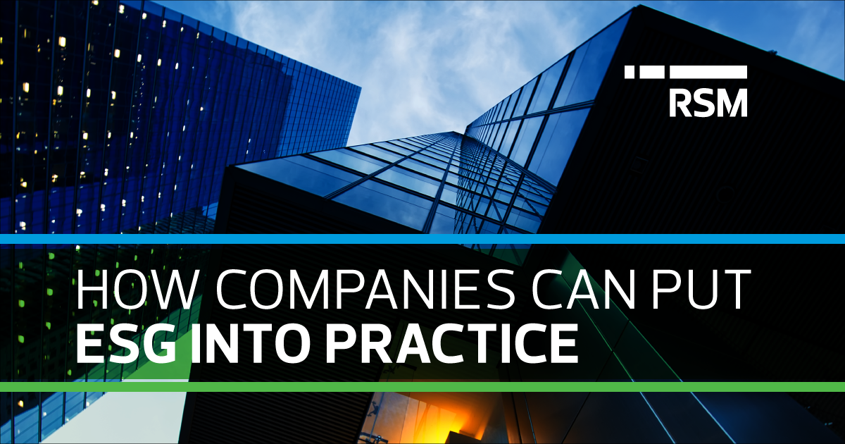 How companies can put ESG goals into practice