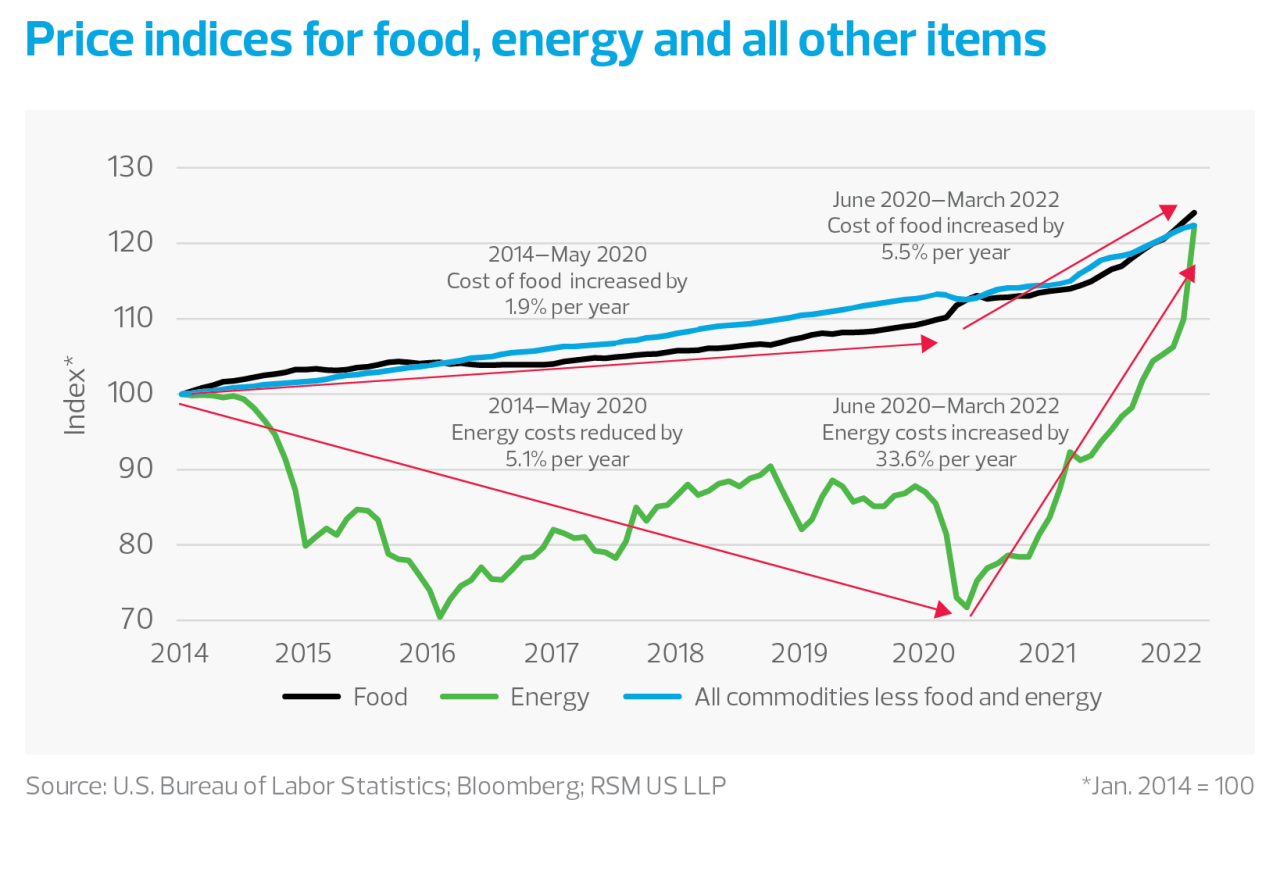 Price indices for food, energy and all other items chart
